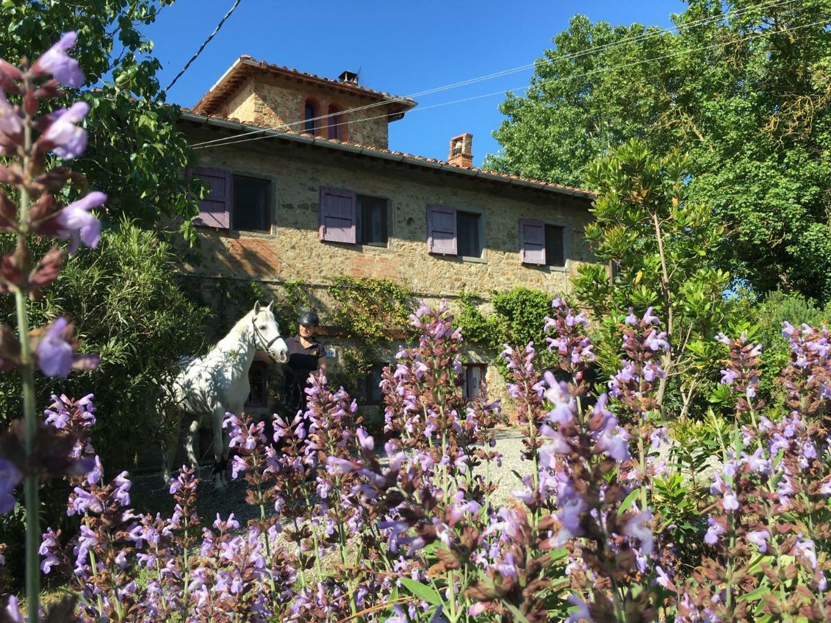 Farmhouse B&B Il Paretaio Barberino di Val dʼElsa Exterior foto